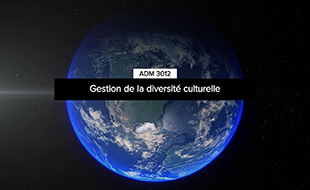 ADM 3012